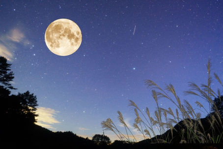 今どきの若者言葉