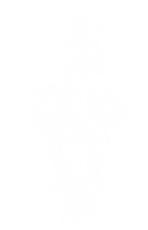 Untitled_Artwork 17.png