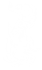 Untitled_Artwork 15.png
