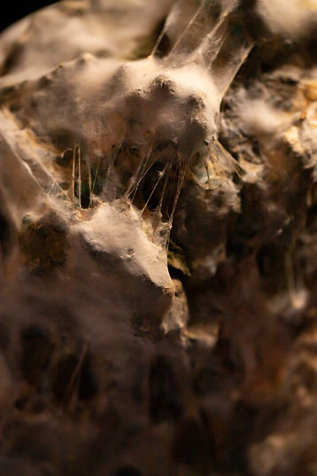 Vanitas_Closeup_05.jpg