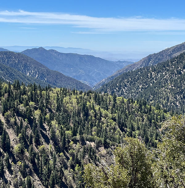 California30.jpg