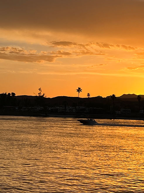 California28.jpg