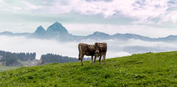 Stoos, Switzerland