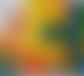 ATELIERS COULEURS COMPLEMENTAIRES ET FAUVISME - OCRE & INDIGO CHILLY MAZARIN 2018