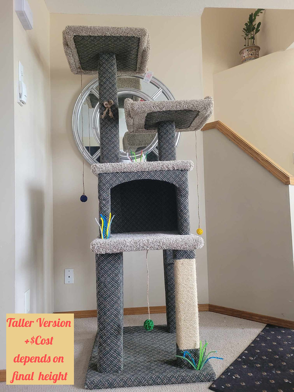 Thumbnail: Cat Condo with box