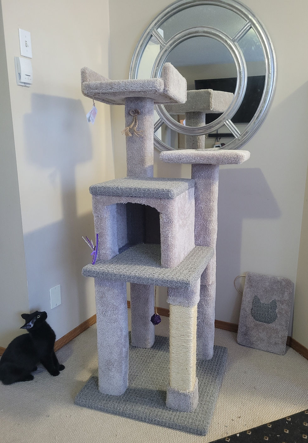 Thumbnail: Cat House