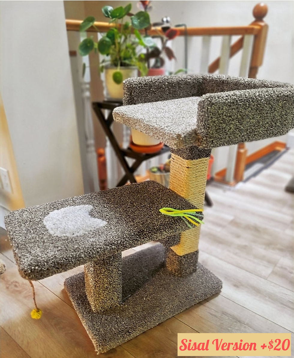 Thumbnail: Small Lounger with Bed
