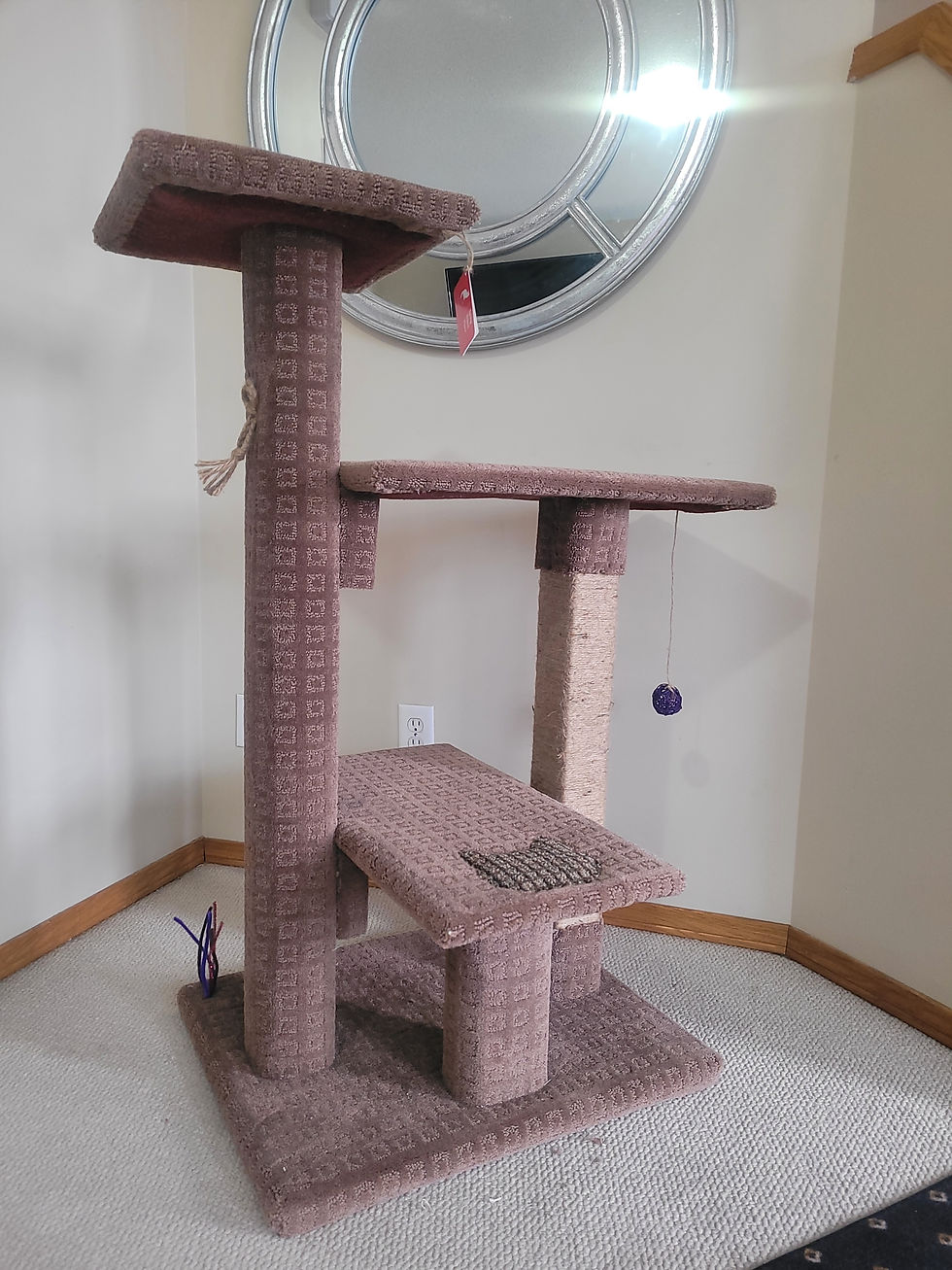 Thumbnail: Modern Roomy - 4 Feet Tall