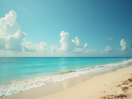 Videos de Punta Cana y RD de creadores locales