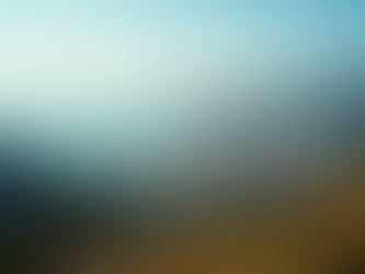 Reserva hoteles, tour y transporte para grupo.