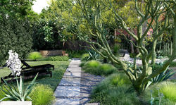 OCEANIA 2_53 - Photo copy