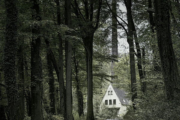 Glen Kelly Real Estate 732-244-0567