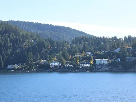 Little Egg Harbor: Homes for Sale in a Serene Waterfront Community