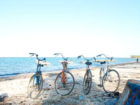 Brick Real Estate: Embrace the Shore Lifestyle