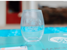 Whale Festival & Wine Walk Feb. 26th
