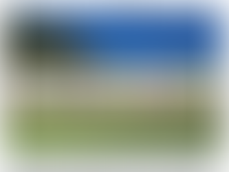 Annual Yorkville Ice Cream Social