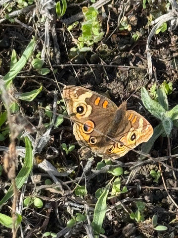 It's the little things in life...