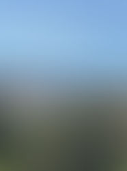 The Valley's Iconic Tarwater Hill