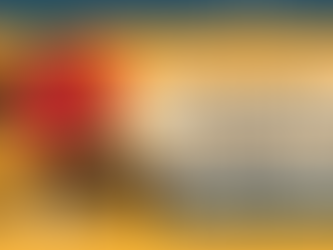 MENDOCINO COUNTY FAIR!