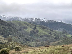 We Had A Rare Christmas Snow!