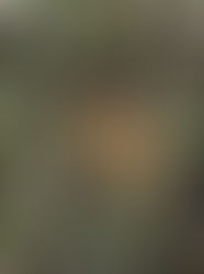 It's the little things in life...