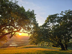 Valley Views at Sunset from The Oaks