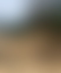 We're Getting That Firewood Ready!