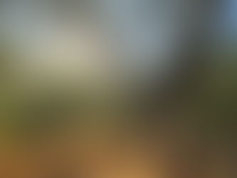 Stanley is Feeling Thankful to be at The Oaks Again