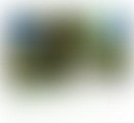 Winter Special at Boonville Downtown