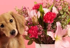 HAPPY Valentine's Day!