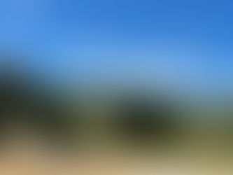 Just Some Fluffy Clouds Hanging Out...