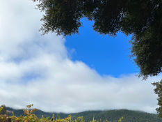 We get it all here: Fog, Clouds, Sun & Blue Skies!