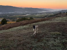 Crank is happy to be back at The Breezeway