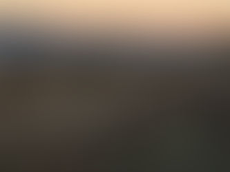 Crank is happy to be back at The Breezeway