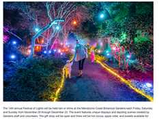 Festival of Lights Opens