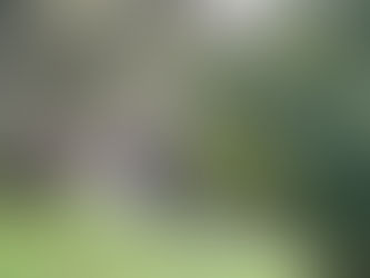 Recent Rains Sure Made The Creek Rise!