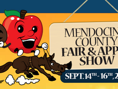 The Fair Is Coming To Town!!