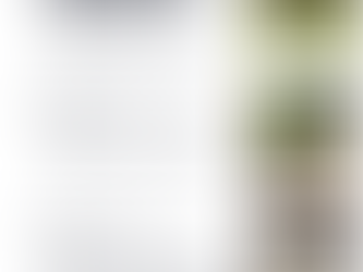 International White Wine Festival