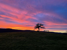 Our Sunsets Don't Disappoint!