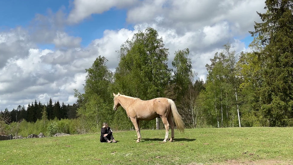 Vidvinkelbild av häst och människa som sitter tillsammans i gräset i lugn miljö