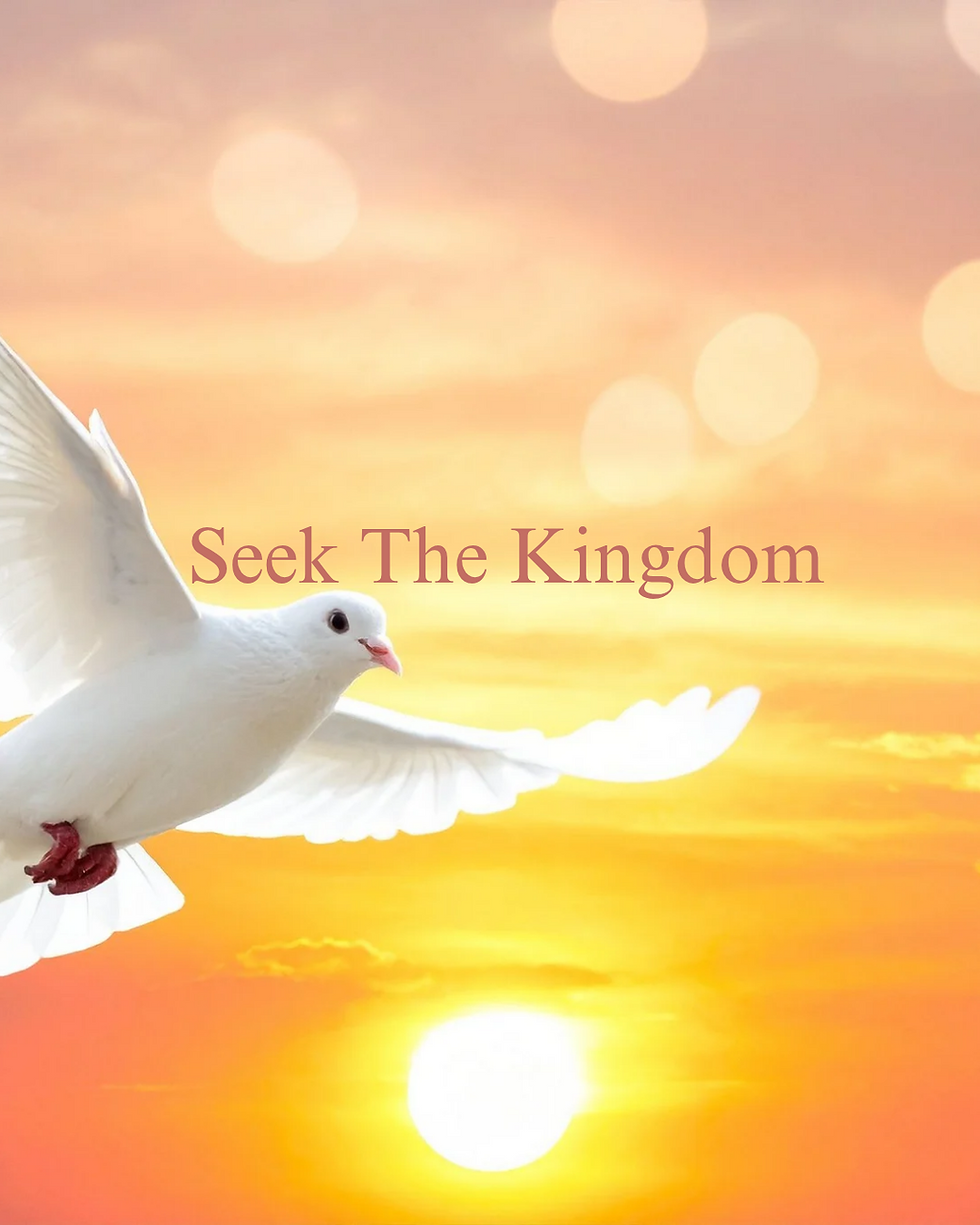 Seek The Kingdom