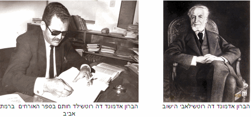 תמונה 7 אליאנס.gif