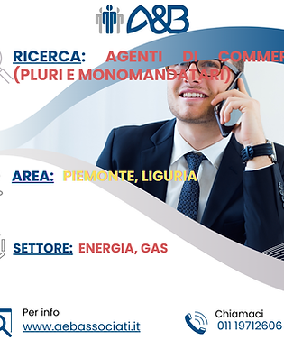 RICERCA AGENTI ENERGIA MANDATO DIRETTO.png