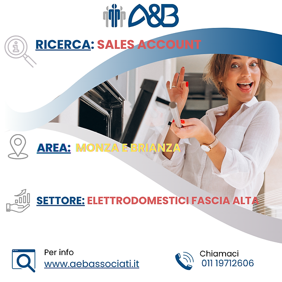 Ricerca Sales Account Monza Elettrodomestici.png