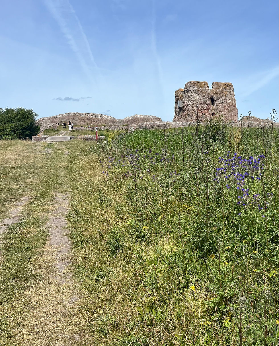 Kalø Vig in Denmark.