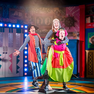 THE PIRATE, THE PRINCESS AND THE PLATYPUS