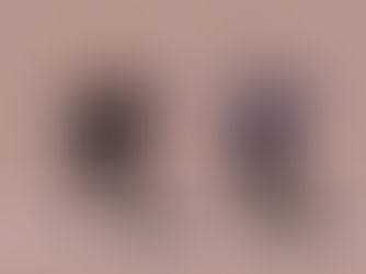 Barney's Speed Kills His Business