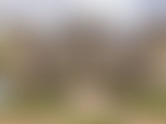 Crossroads: Niches & Moats!