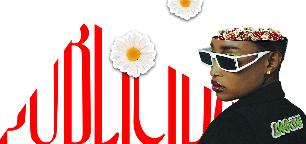 03 Rodapé.png