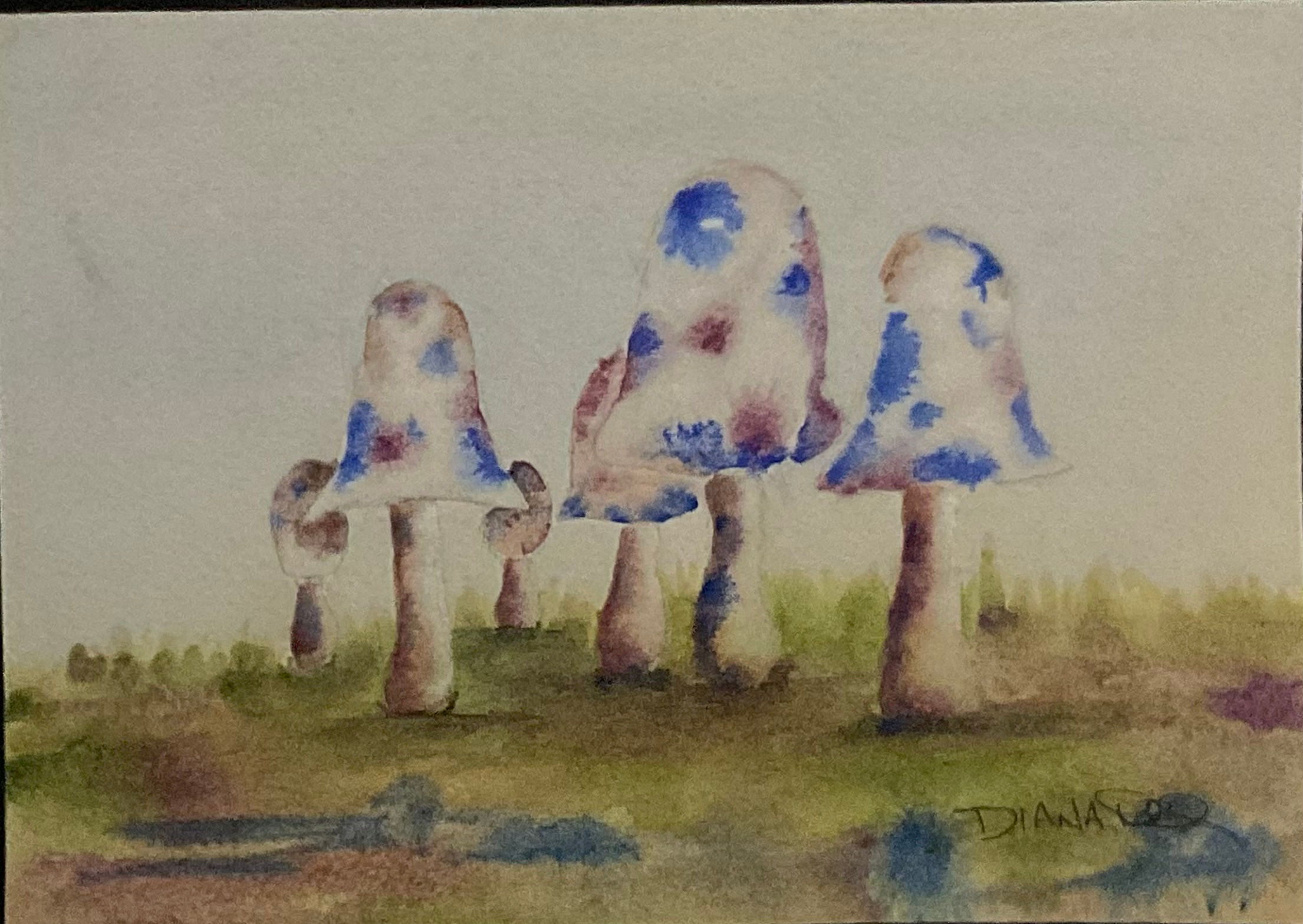 Inky Cap III